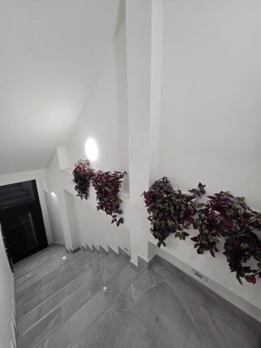 Doksim Luxury Apartments 301 in Pirot