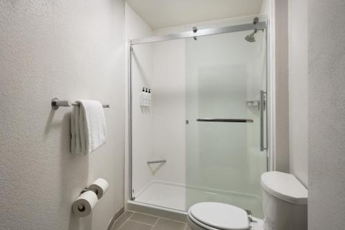 Double Suite with Two Double Beds