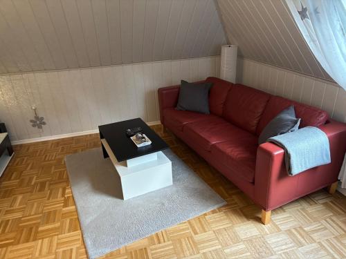 Nordheide mit Hund in Hollenstedt