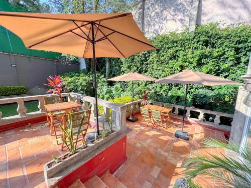 Garden, Hotel Boutique Casa Alebrije in Coyoacán