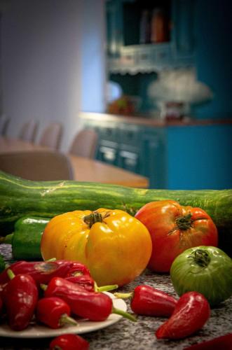 Le 921, une déconnexion nature (Le 921, une deconnexion nature) in เลอโฮห์วาล์ด