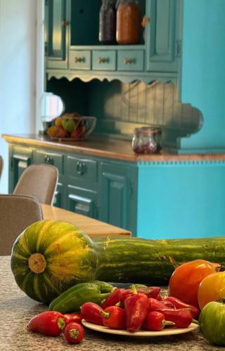 Le 921, une déconnexion nature (Le 921, une deconnexion nature) in เลอโฮห์วาล์ด