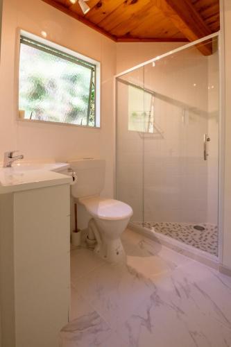 Apartment image 1