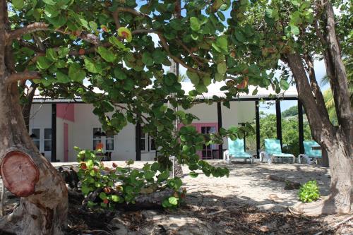 Sugarapple Bequia Beach Cottage in Friendship