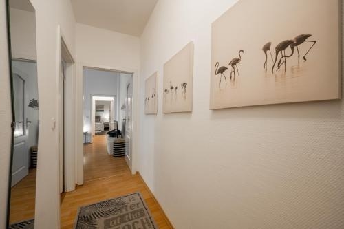 Große Altstadtwohnung im Zentrum mit Balkon - Super Lage