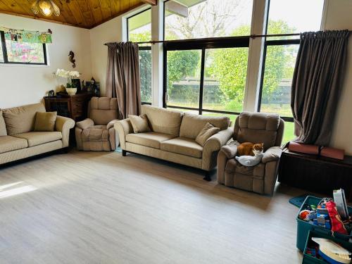 Easy check in near Rotoruai regionális repülőtér