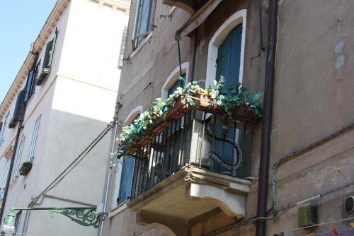 Tiepolo - image 13