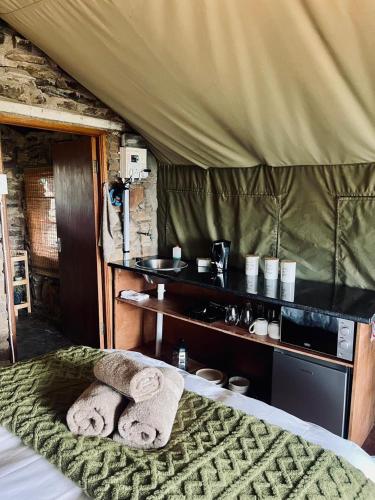 Safari Game Camp Safari Game Camp