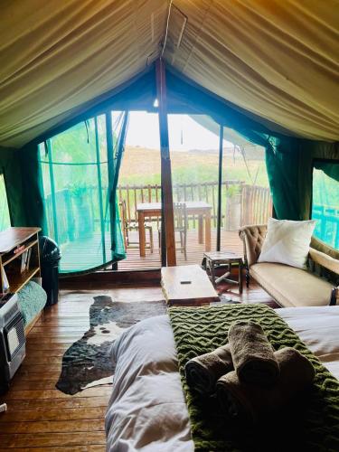 Safari Game Camp Safari Game Camp