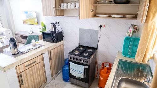 Cosy Flamingo furnished apartments in Nakuru