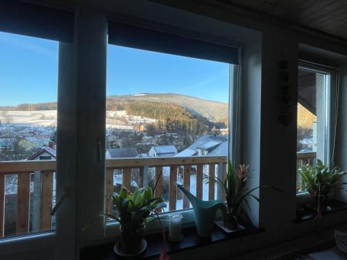 Apartmán Čížci Horní Maršov Apartmán Čížci Horní Maršov