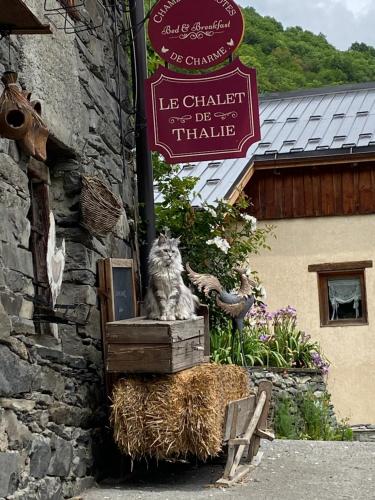 Facilities, Le Chalet De Thalie in Orbassy
