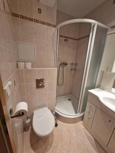Apartman Harrachov 372 in Harrachov
