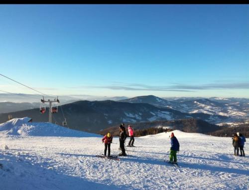 Гірська Домівка in Volosyanka