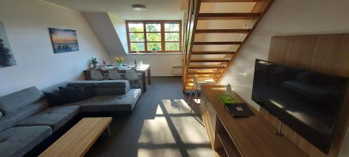 Pokoj pro hosty, Wellness apartmány Říčky v Orlických horách (Wellness apartmany Ricky v Orlickych horach) in Říčky