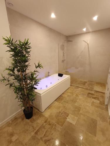 Évasion douce,SPA Balnéo (Evasion douce,SPA Balneo) in 聖富瓦拉格朗德