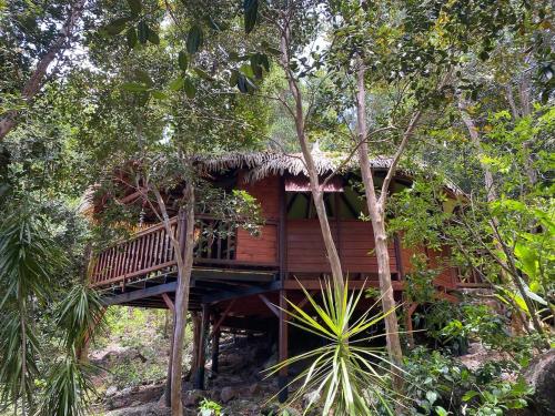 Hutte Karaib Reve de Robinson Une cabane perchee au cœur de la nature tropicale in แตเร่ เดอ โอ