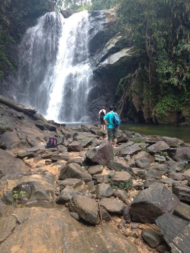 Rainforest River Edge in Kotapola