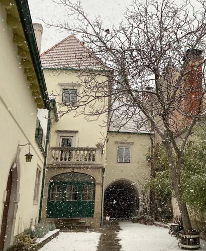 外部景觀, Masionette Wohnung in Weinregion 30 min südlich von Wien (Masionette Wohnung in Weinregion 30 min sudlich von Wien) in 貢波爾茨基興
