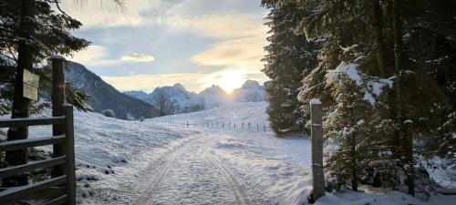 Selauerbauer, Lofer (Foto 5)