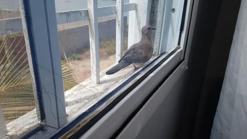 Ferienwohnung am Vogelschutzgebiet in Tanji