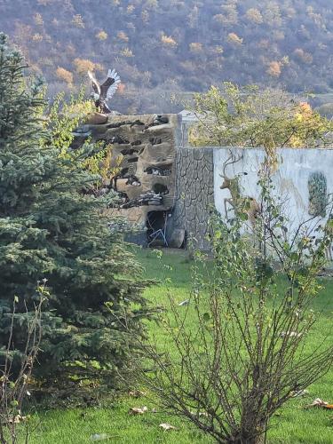 Reshad 038 in Chilegir