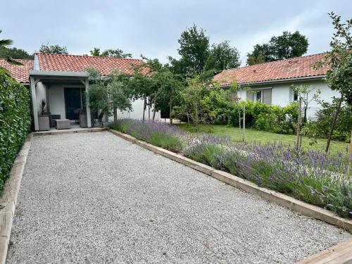 L'olivier gîte à louer Onesse-Laharie