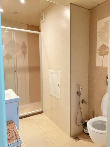 Cozy studio flat, Baku (fotografie 11)