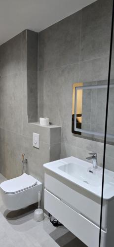 One-Bedroom Apartment image 5