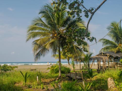Praia, Hotel Kenaki Lodge in Cahuita