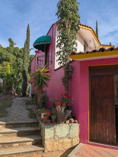 Casa Aply in Cabecera Municipal San Andres Huayapam