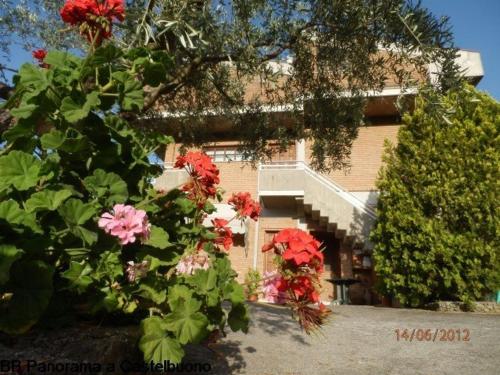 B&B Panorama