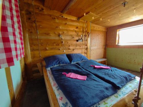 Hängebett im Stall in Fahrni, Schweiz