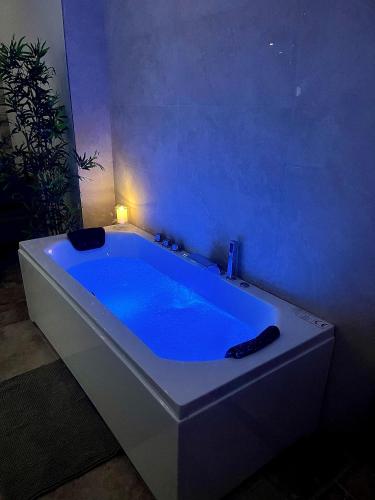 Évasion douce,SPA Balnéo (Evasion douce,SPA Balneo) in 聖富瓦拉格朗德