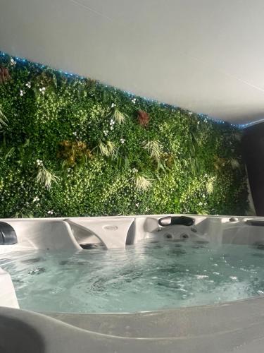 Hot tub, Nissa la Bella in Saint-Sylvestre