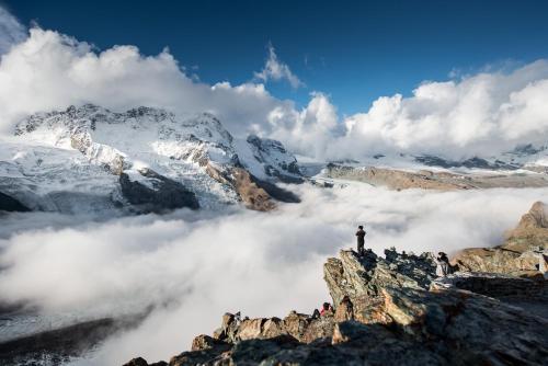 Hotel Butterfly BW Signature Collection - image 9