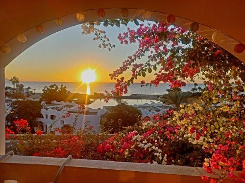Domina Coral Bay - Salt Lake & Sea view 5