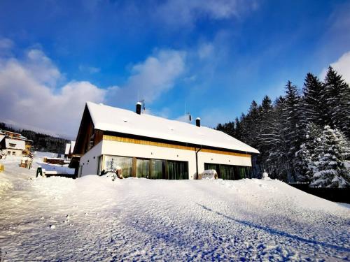 Villa in Cerny Dul near Ski Resort, Černý Důl (fotografie 10)