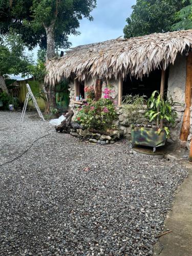 Cahuita Vibe in กาอุยตา