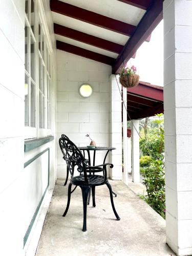 Browns Bay Olive Tree - Pet Friendly Family Apartment, Auckland (Foto 11)