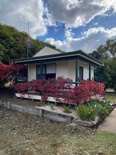 Skats, The Lake House at Mansfield in Bonnie Doon