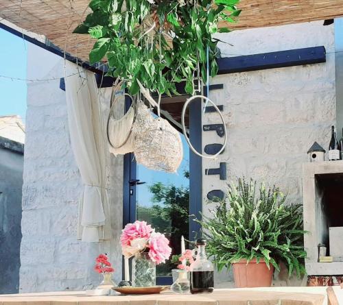 -Alba in Okrug Donji