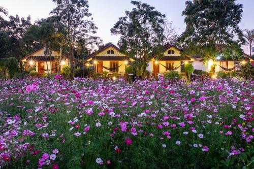The Nest House, Pai