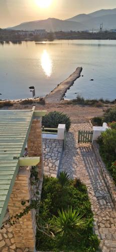 Skats, Mike'sPlace in Antiparosa