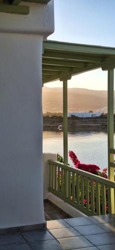 Skats, Mike'sPlace in Antiparosa