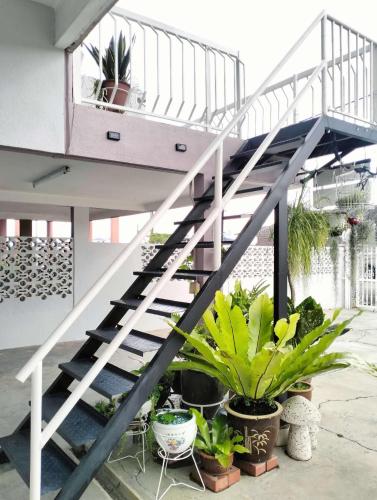 阳台民宿 16 Terrace 阳台民宿 16 Terrace