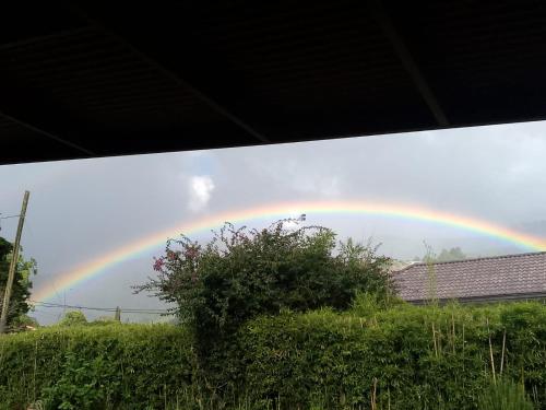 Hostal Vista Boquete