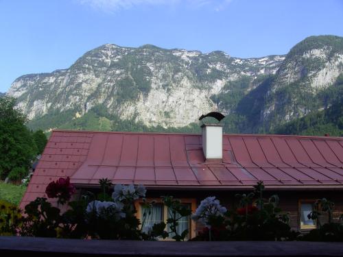 View, Haus Alpenrose in Obertraun