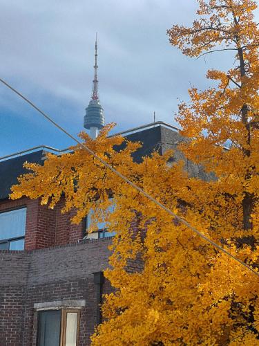 Jnineguesthouse, Seoul (photo 2)