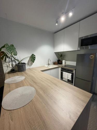 Nice and Cozy Apartment Next to Telliskivi, Tallinn (photo 7)